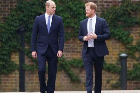 Prince Harry Left off Wedding Guest List While Prince William Stays in Favor — Source