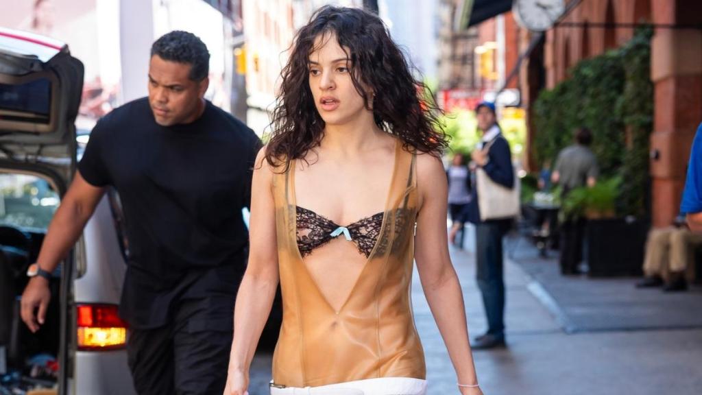 Rosalia Makes Sheer Plunging Yasmina Tutu Dress Even Bolder With Bra Peek
