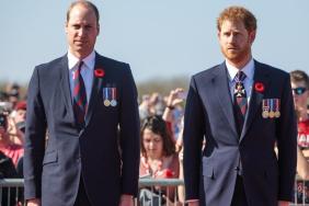 Prince William & Prince Harry Are Facing a Problem Neither Can Control — Report