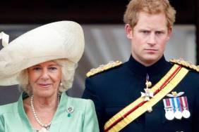 Queen Camilla Sounds Alarm Over This Prince Harry Rumor — Source