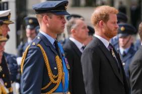 Former Aide to Prince Harry and Prince William Avoids Direct Answer on Royal Rift