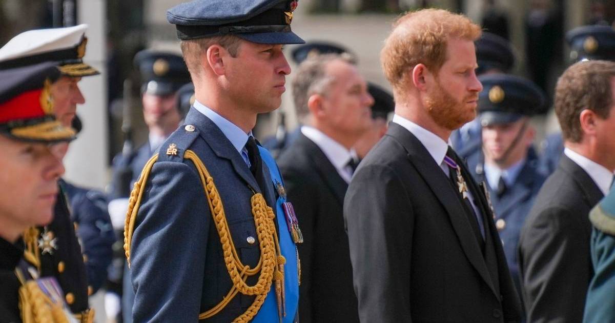 Former Aide to Prince Harry and Prince William Avoids Direct…