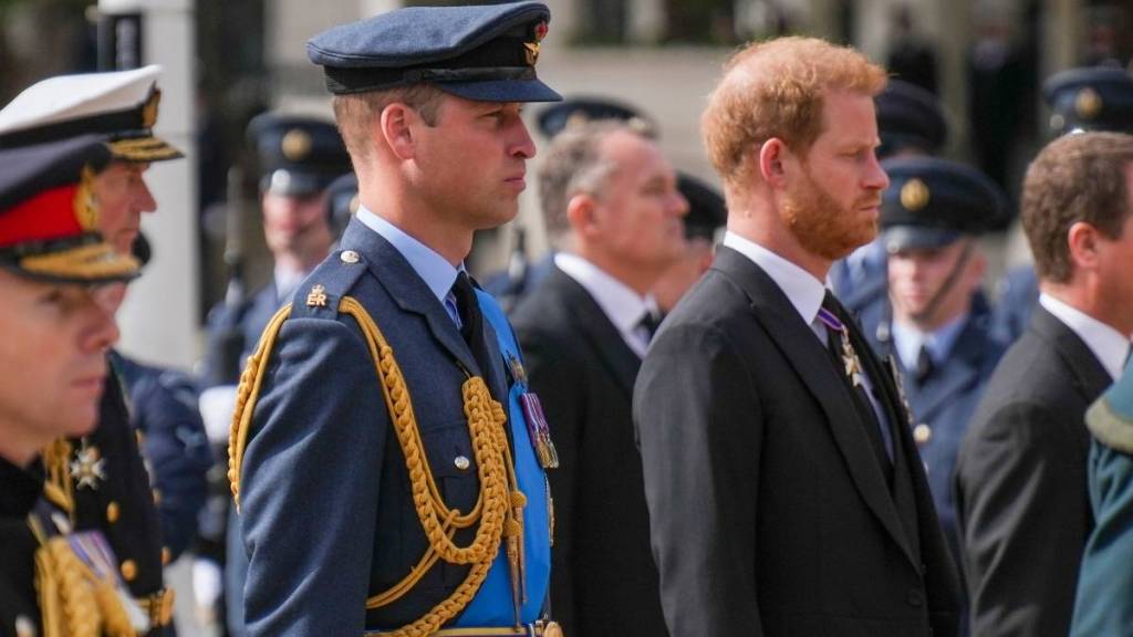 Former Aide to Prince Harry and Prince William Avoids Direct Answer on Royal Rift