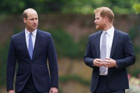Prince William Has One Brutal Response to Prince Harry's Calls — Source
