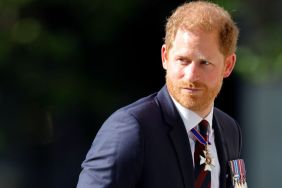 Prince Harry Couldn't Convince 2 Royals to Take His Side — Source