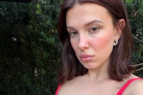 David Harbour Says One Millie Bobby Brown Rumor Wasn't Far Off