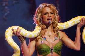 Britney Spears Slams Critics Following Viral Arrest Video With Curious Post