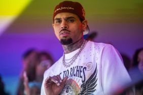 Suspected Burglar Detained at Chris Brown’s Los Angeles Residence