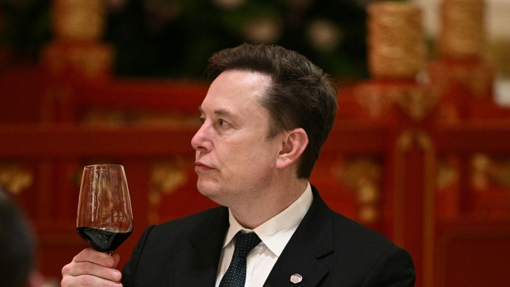 ‘Evil’ Elon Musk at the Center of a Heated USAID Debate