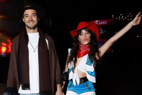 Camila Cabello Just Went Single Again, No Reason Given — Report