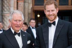 One King Charles Theory Is Gaining Traction After Big Prince Harry News