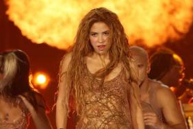 Shakira Poses in Plunging Salih Balta Corset Dress With Massive Sheer Cutouts