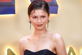 Zendaya's Sheer Look Is Hiding in Plain Sight