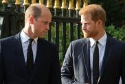 Prince Harry’s UK Visit Raises Doubts About Prince William Reunion — Source