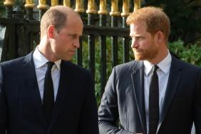 Prince Harry’s UK Visit Raises Doubts About Prince William Reunion — Source