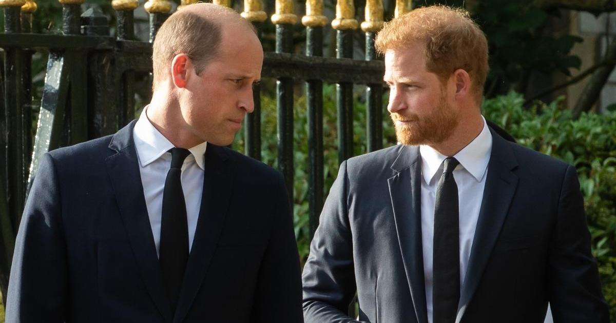 Prince Harry's UK Visit Raises Doubts About Prince William Reunion - Source