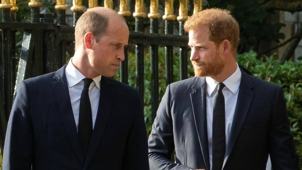 Prince Harry’s UK Visit Raises Doubts About Prince William Reunion — Source