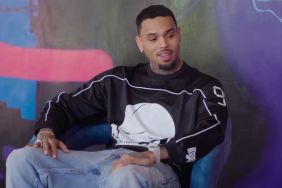 Chris Brown's Former Housekeeper Testifies She Thought She Would Die During Dog Attack