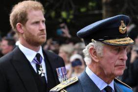 Prince Harry & King Charles Reunion May Deepen William Rift — Source