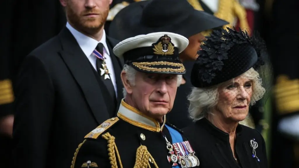 Queen Camilla Doesn't Want King Charles Alone With Prince Harry — Insider