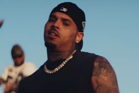 Chris Brown Must Pay $13M to Ex-Housekeeper in Dog Attack Case — Report