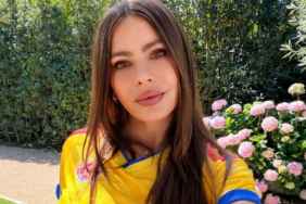Sofia Vergara Risks a Wardrobe Mishap in a Curve-Hugging, Revealing Top