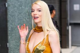 Anya Taylor-Joy's Plunging Ferragamo Dress Is Also Fully See-Through