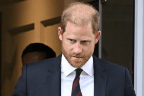 Prince Harry Overcomes ‘Nightmare’ Week to Reunite Archie and Lilibet With King Charles