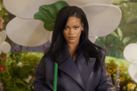 Rihanna Returns to the Stage for Surprise Performance at Jay-Z Concert