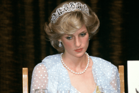 Princess Diana's Heartbreaking Honeymoon Confession About Camilla Resurfaces