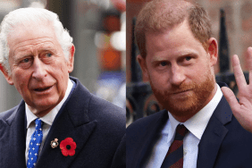 Prince Harry and King Charles Have Had No Contact Since UK Meeting — Source