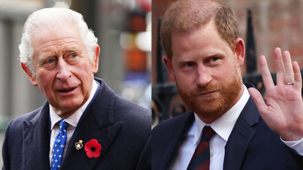 Prince Harry and King Charles Have Had No Contact Since UK Meeting — Source