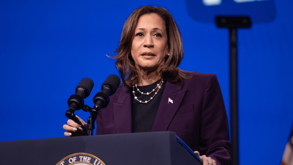 Kamala Harris Draws Criticism After Wanting Investigation Into Fatal ICE Shooting
