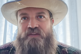 Ryan Fitzpatrick Says Taylor Swift and Travis Kelce's Wedding Was 'Unbelievable'