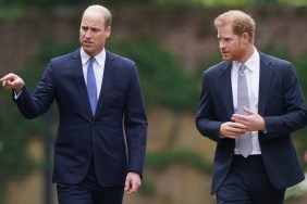 prince william