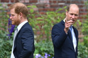 prince harry