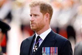 prince harry