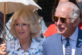king charles