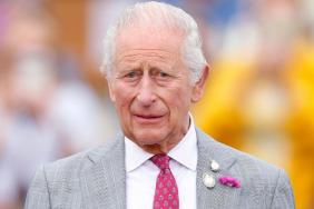 King Charles Under Pressure to Expose This Family Member's Finances — Source
