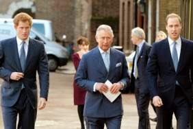 King Charles Told Prince Harry to Be More Like Prince William — Source
