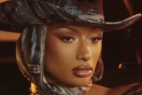 Megan Thee Stallion Bares Her Thick Curves in a Sheer Micro Mini Held by a Tiny Chain