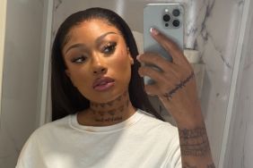 Megan Thee Stallion’s Plunging Cucculelli Shaheen Lace-up Dress Is So Sheer