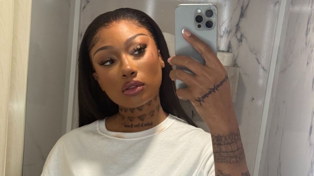 Megan Thee Stallion’s Plunging Cucculelli Shaheen Lace-up Dress Is So Sheer