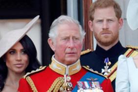 Prince Harry's Reunion With King Charles Happened Because of This Royal Member — Source