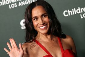 Meghan Markle's UK Return Plans Face Turning Point After Shock Poll — Report