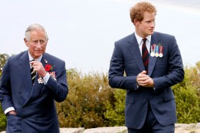 Prince Harry's UK Visit Won't Heal the Royal Rift — Report