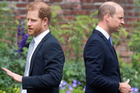 Prince William's Feelings Toward Prince Harry Hit New Low — Expert