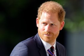 Prince Harry Left More Isolated as 2 More Allies Leave His Side — Source