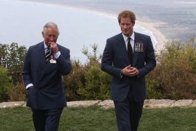 Prince Harry King Charles