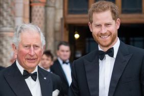 Prince Harry King Charles